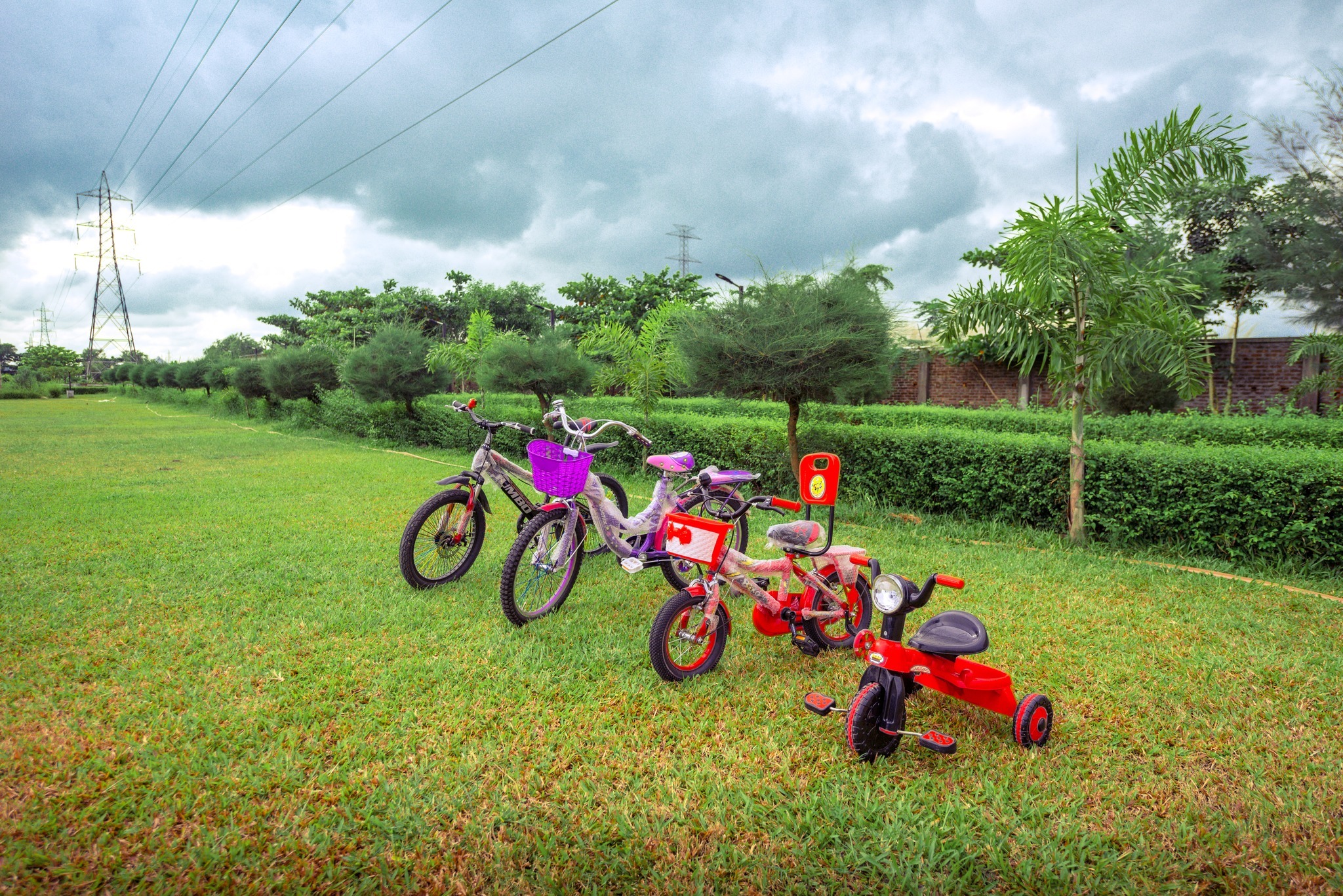 Cultural & Social Events